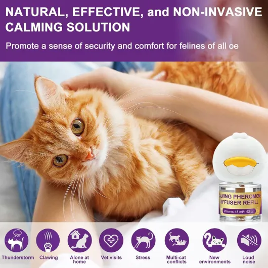 Diffuseur de Phéromones Apaisantes pour Chats + Recharge 3X48 ML - Aide à Réduire Les Confilts et Tensions Entre Chats Vivant sous Le même Toit