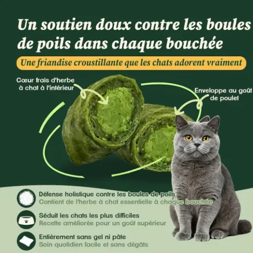 Test friandises Walejay à l’herbe à chat : beaucoup de bouchées, pas mal de questions