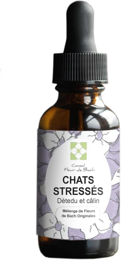 Conseil fleur de Bach® - Fleurs de Bach Chat stressé Un mélange Qui va Aider Votre Chat à se Calmer Flacon de 10 ML