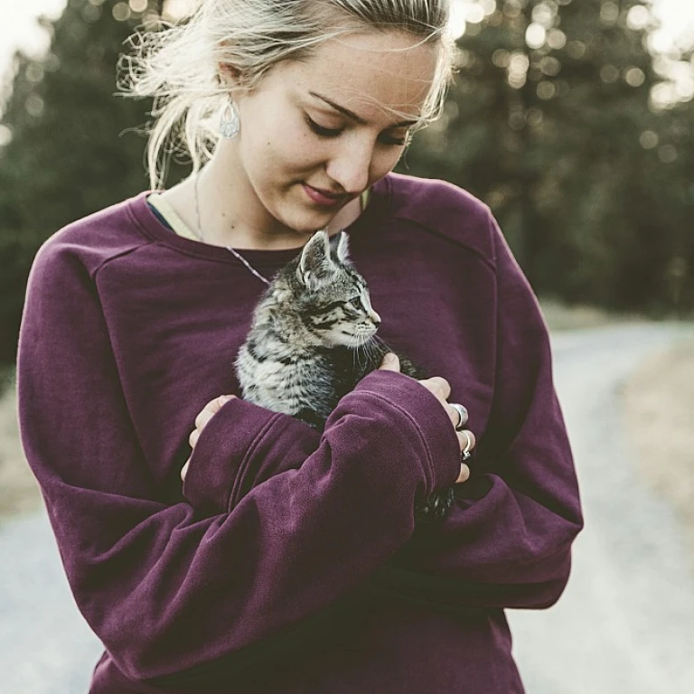 Les bienfaits de la valériane pour les chats : une alternative au CBD