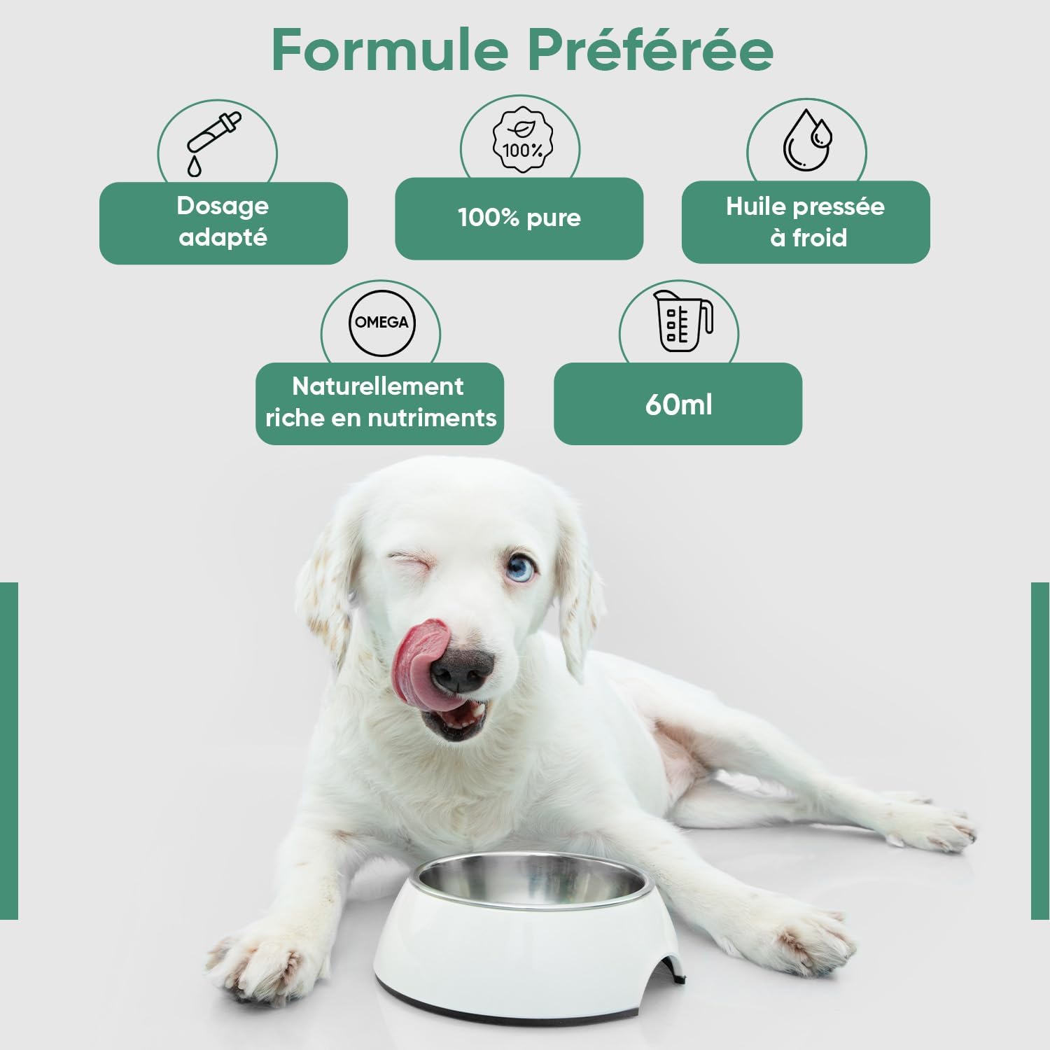 Huile de Graines de Chanvre Chien & Chat 60ml Pressée à Froid avec Omega 3 6 9 et Source de Vitamines A, B, D, Huile de Graines de Chanvre 100% Pure Alternative à la Fleur de Bach Chien & Chat