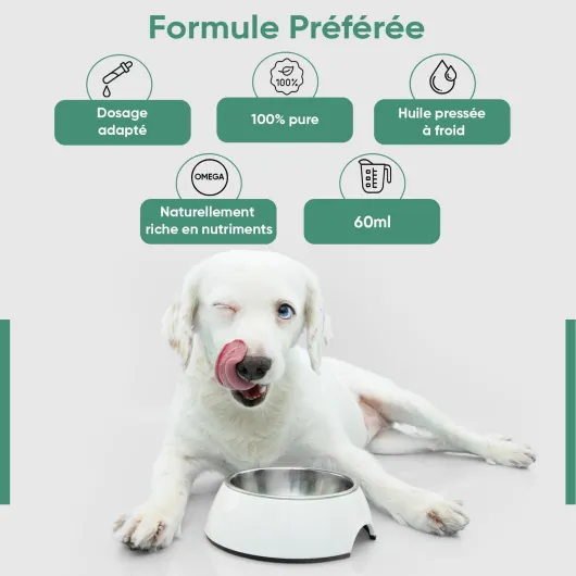 61x3ATE8TvL._AC_SL1500_