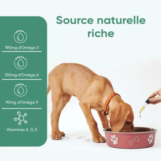 618vLa U5IL._AC_SL1500_