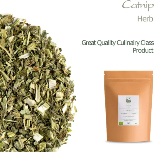 81M6GcGn8iL._AC_SL1500_