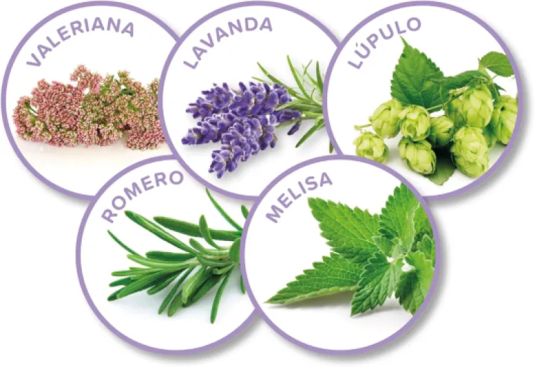 71TgXx 4nyL._AC_SL1500_