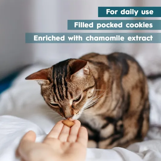 61m0-DWaESL._AC_SL1100_