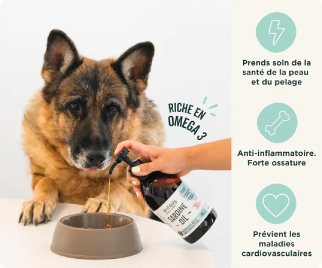 Wolf Belly - Huile de Sardine pour Chien et Chat 100% Naturel (500 ML) Omega 3,6,9 et Vitamine E - Peau Saine et Pelage Brillant - Articulations Fortes - Système Immunitaire Sain - Fabriqué en UE