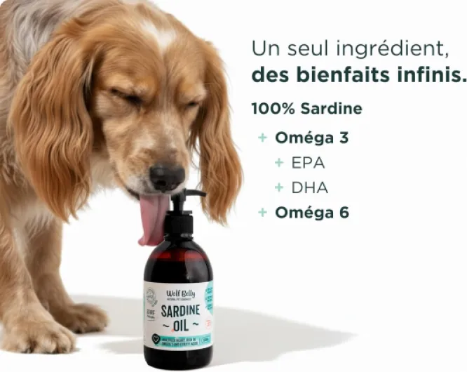 71OnqJtOiCL._AC_SL1500_