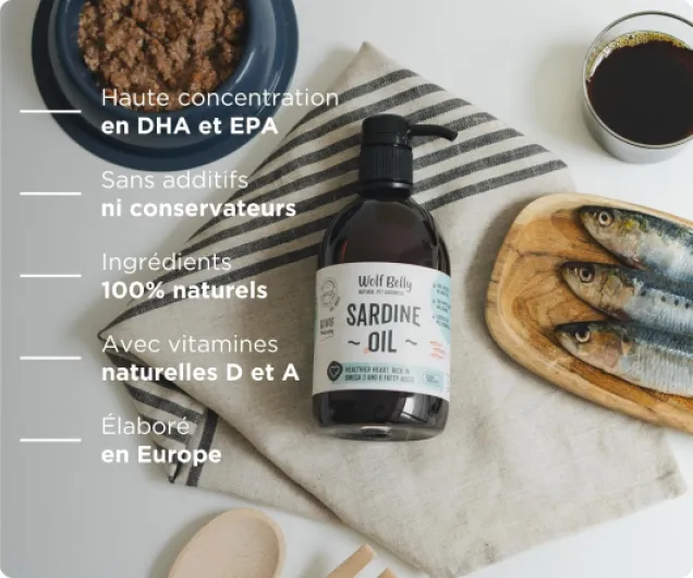 81ekEbLJasL._AC_SL1500_