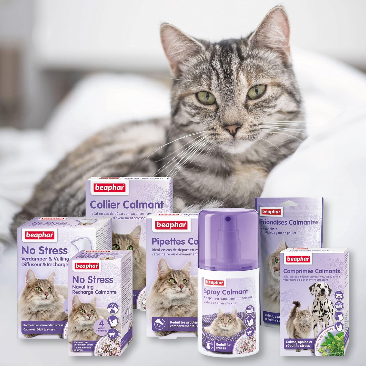 NO Stress FRIANDISES CALMANTES À LA VALÉRIANE pour Chat – Réduit Le Stress et Les problèmes comportementaux sans dépendance ni Somnolence – Prêt à l'emploi – 35 g