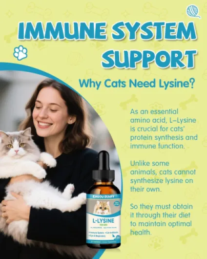 L-Lysine pour Chats - Gouttes Lysine Soutien Immunitaire Chats - Allergies Soulagement pour Chatons, Éternuement, Yeux Mouillés, Antibiotiques Chatons avec Vitamines & Minéraux, Colostrum, 60 ML