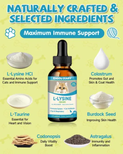 71c1AGt8qeL._AC_SL1500_