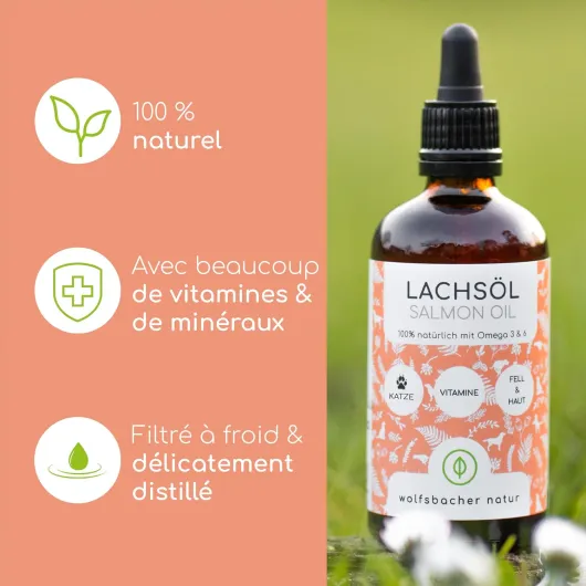 81Pz0gKKE-L._AC_SL1500_