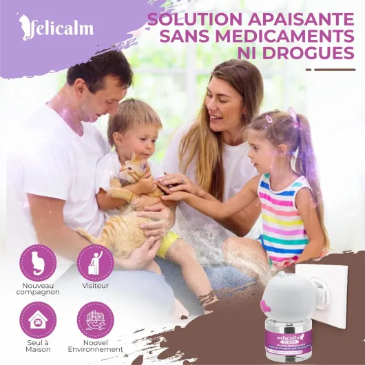 81XFmJYSy-L._AC_SL1500_