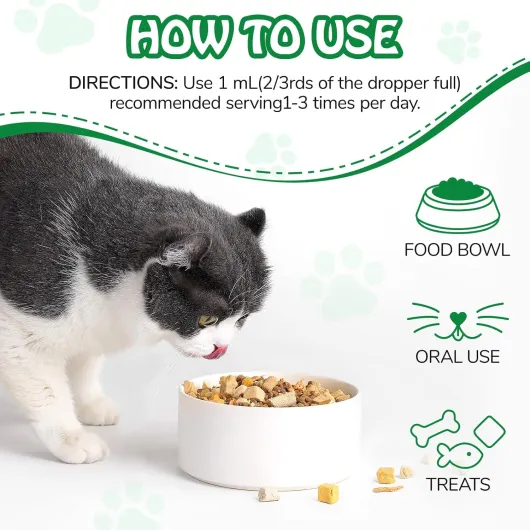 81-T34 2 PL._AC_SL1500_