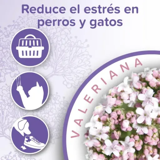 Test Beaphar NO Stress Valériane : un spray qui calme (un peu) sans faire de miracle