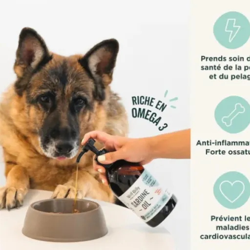 Test Wolf Belly Huile de Sardine : un boost simple pour le poil et les articulations