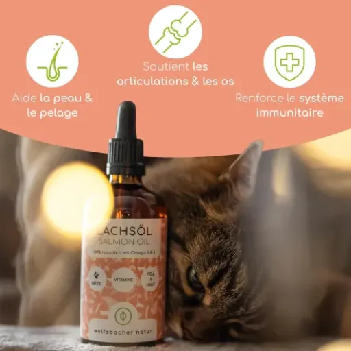 Test Wolfsbacher Huile de Saumon pour Chats 100ml : une petite pompe d’huile qui fait le job