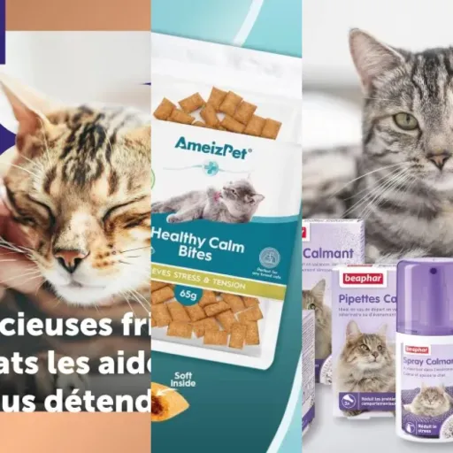 Guide d'achat : les 3 meilleurs friandises CBD anti-stress (février 2026)