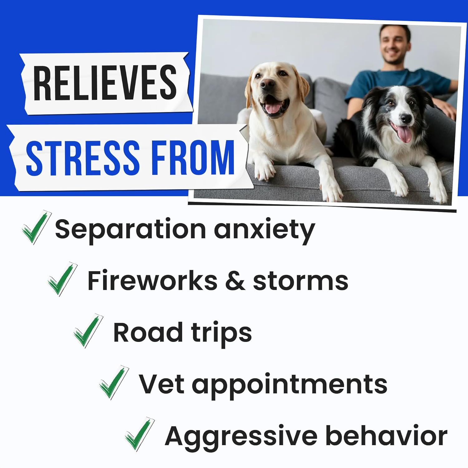 Advanced Hemp Calming Chews for Dogs – 120 friandises pour soulager l'anxiété – Huile de chanvre – Friandises apaisantes pour chiens – Aide au sommeil – Friandises apaisantes au chanvre pour la santé Foie 120 Ct