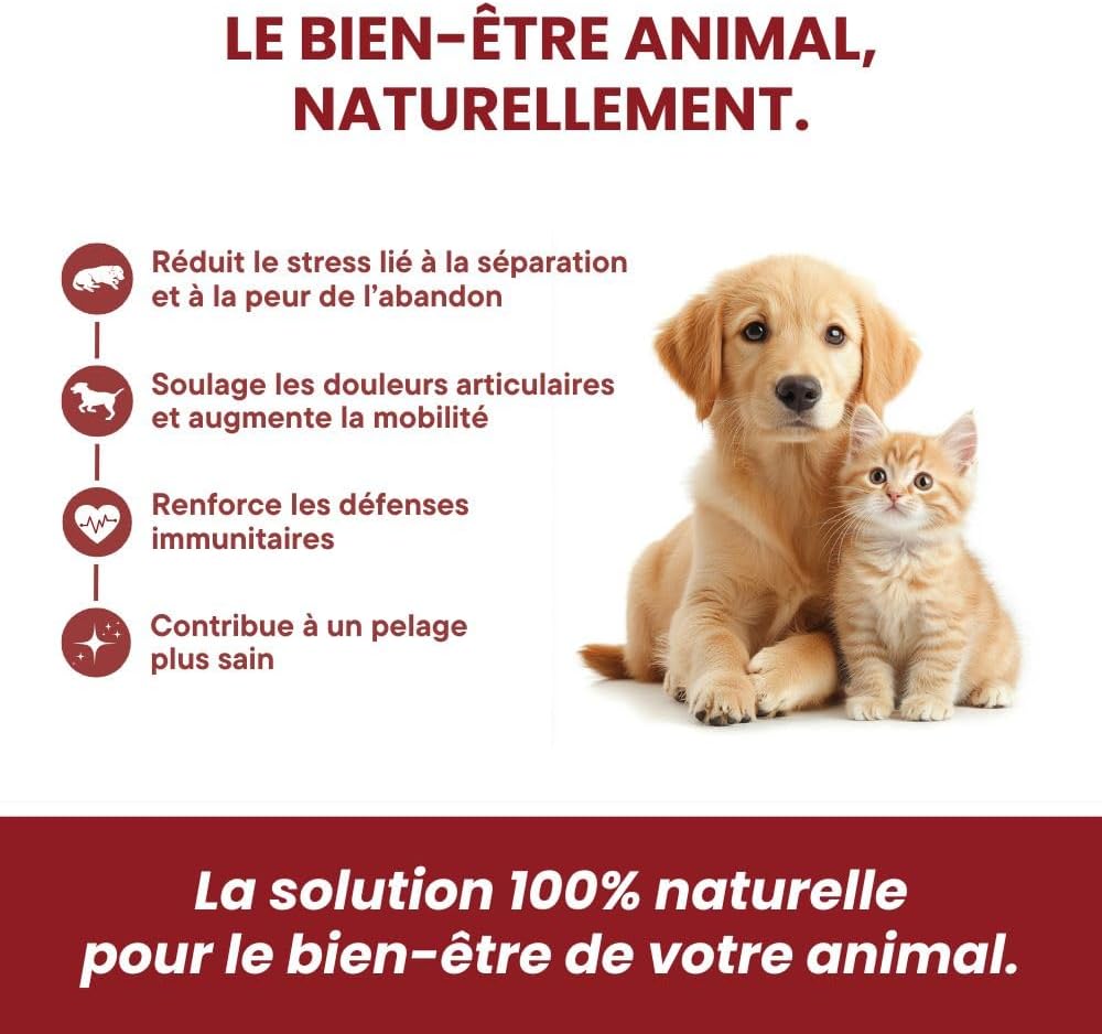 Huile végétale pour Chiens 10-15kg - Oméga 3-6-9 - Aliment complémentaire - Saveur Bacon - 10 ML - Made in France