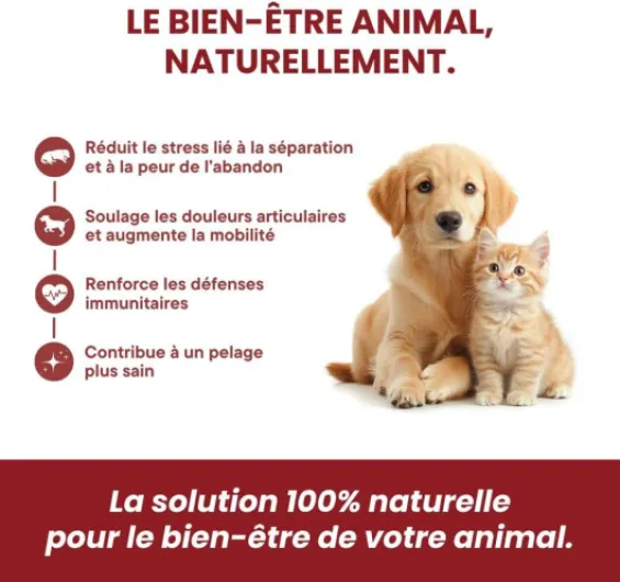 Huile végétale pour Chiens 10-15kg - Oméga 3-6-9 - Aliment complémentaire - Saveur Bacon - 10 ML - Made in France