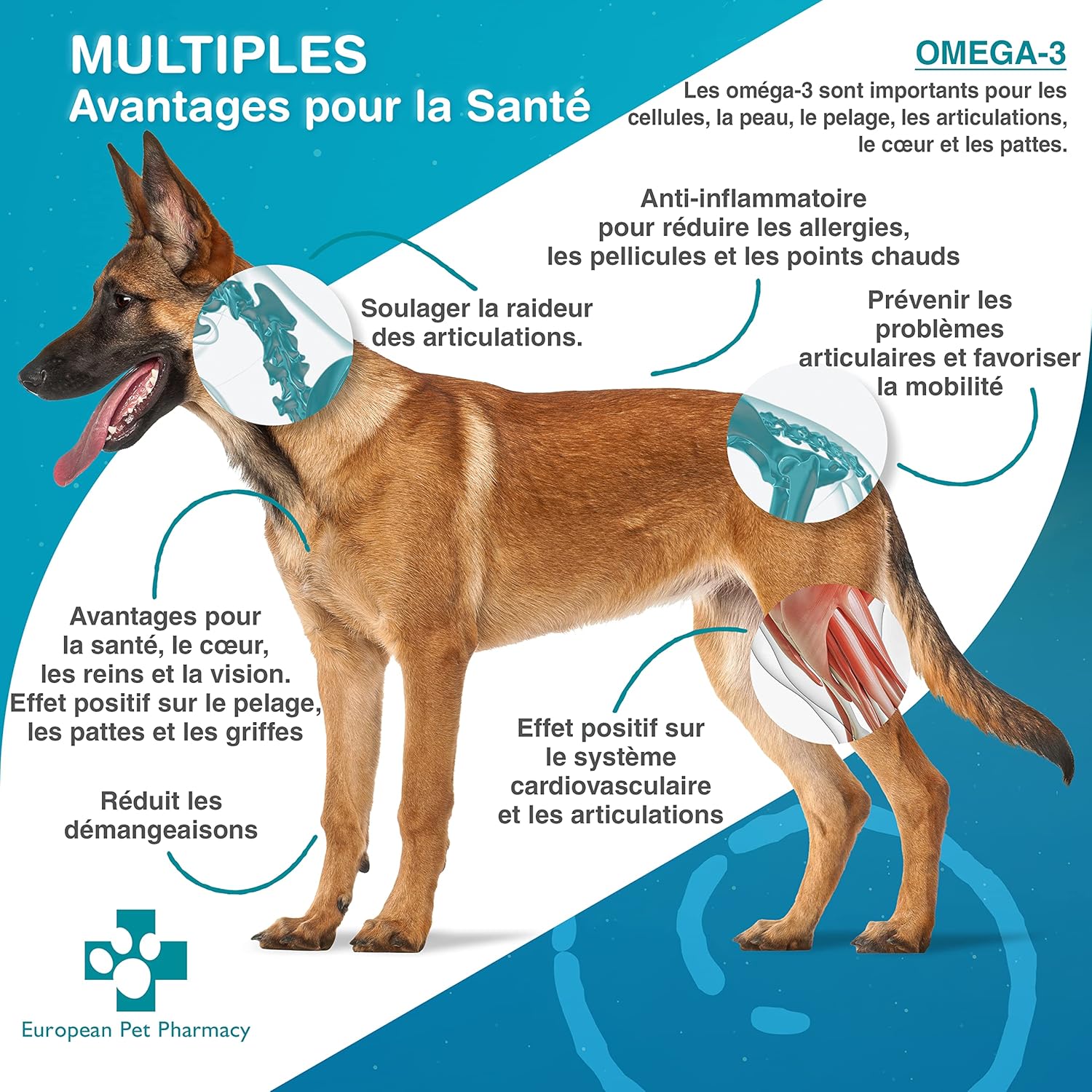 Huile de Poisson Oméga 3 - Huile de Poisson pour Chien et Chat - Complément Alimentaire Chien pour Articulations Chien, Soulagement des Démangeaisons et Mobilité - 180 Gélules Oméga 3 - 180 Gélules