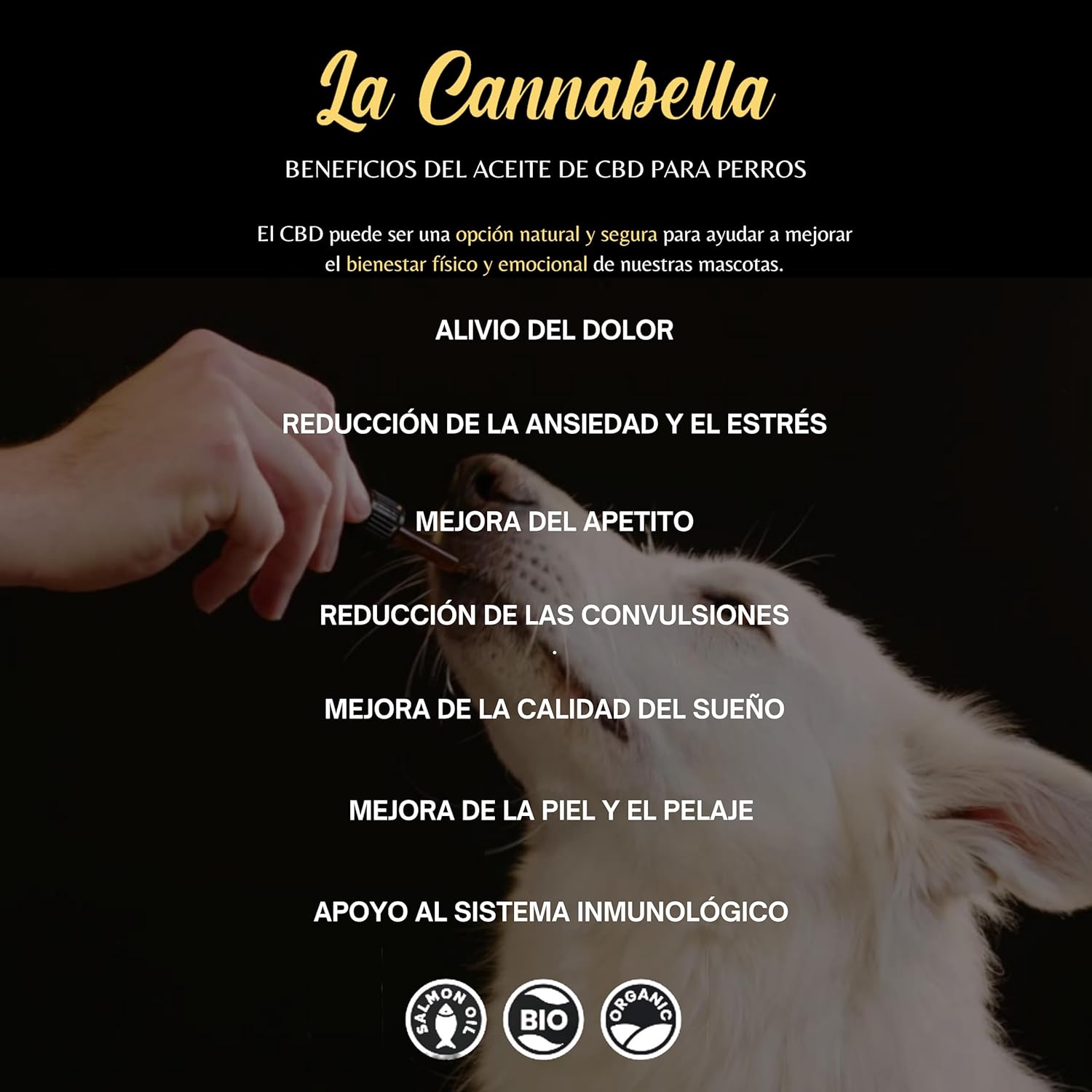 Medium Dogs - Huile 5% - 100% biologique - Huile à l'extrait naturel, oméga 3 et vitamine E - Base d'huile de saumon Premium