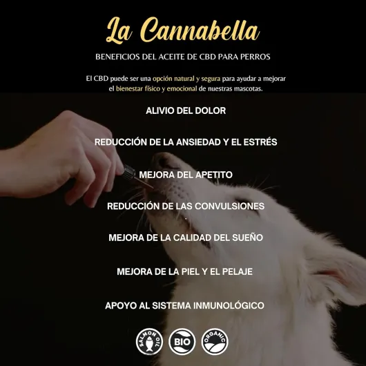Medium Dogs - Huile 5% - 100% biologique - Huile à l'extrait naturel, oméga 3 et vitamine E - Base d'huile de saumon Premium
