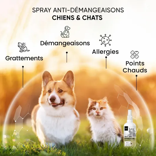 Anti Demangeaison Chien et Chat Spray 250ml - Formule 100% Naturelle Spray Anti Demangeaison Chien pour Irritation et Grattage - Adapté à Toutes Tailles et Races