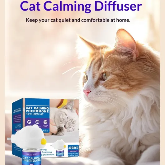 Petwellness Diffuseur Chat,Diffuseur Pheromones Chat,Phéromones Apaisantes pour Chats,Soulage Le Stress Anxieux,Réduit Les Bagarres (6 Bouteilles)