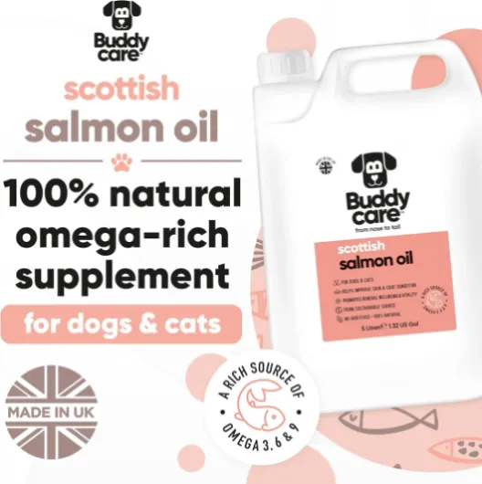 Buddycare Premium Zalmolie voor Honden UK (5L) - Essentiële Omega 3, 6 & 9 Supplementen voor Katten & Honden - Natuurlijke Omega 3 Voor Katten