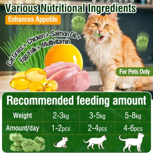 Bâton de Dentition d'herbe de Chat, 50g Comestible Collations pour Chats, Friandises pour Chats Lyophilisé de Nettoyeur de Dents Herbe de Chat-50g