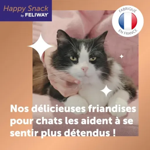Test Happy Snack by FELIWAY : la friandise relaxante qui mise sur la routine