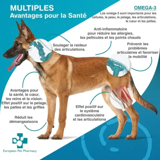 Test European Pet Pharmacy Huile de Poisson Oméga 3 : les gélules qui simplifient la vie… si votre chien joue le jeu
