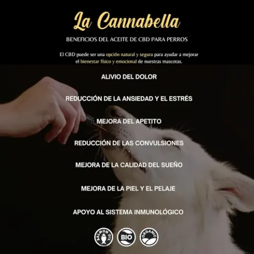 Test Medium Dogs Huile 5% La Cannabella : une petite huile au saumon qui fait le job pour les chiens moyens