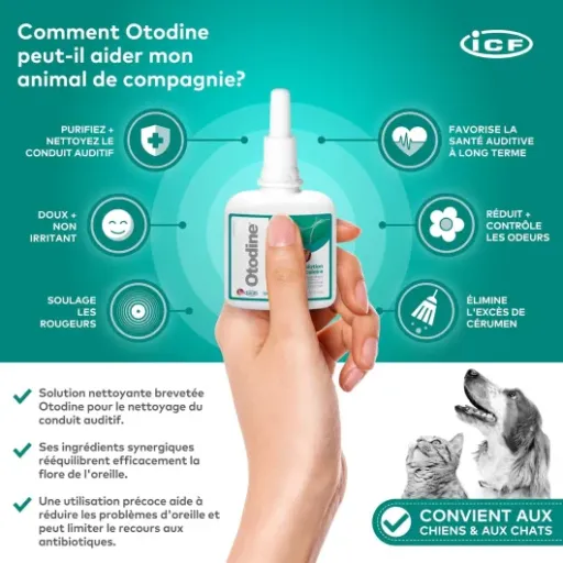 Test Otodine ICF : le nettoyant d’oreilles qui fait le job sans trop râler (sauf le chien)