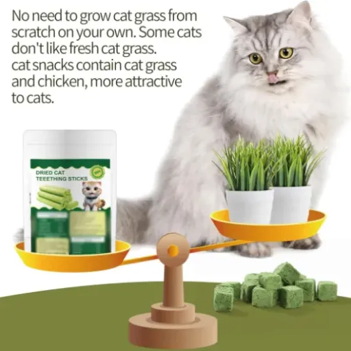 Test Wingoden Freeze Dried Cat Grass Stick : des cubes d’herbe à chat pratiques mais pas magiques