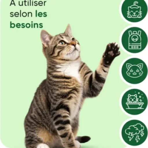 Test Huile de Graines de Chanvre Pure pour Chats Animigo : une alternative végétale à l’huile de saumon qui fait le job