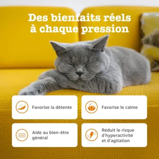 Test Pâte apaisante pour Chats Zesty Paws : une aide anti-stress correcte mais pas magique