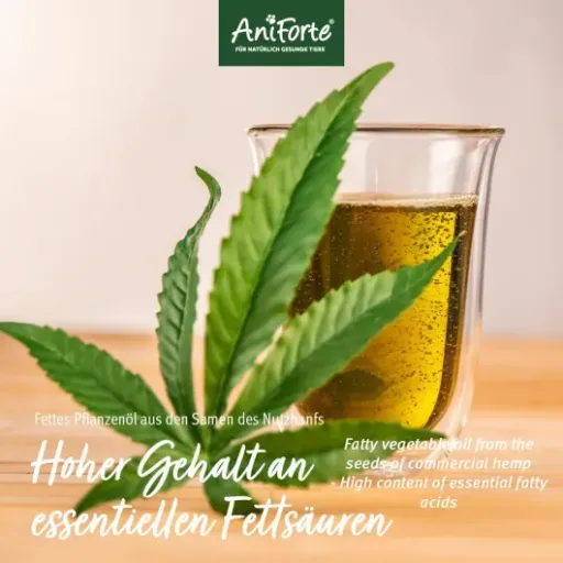 Test AniForte Huile de Graines de Chanvre Bio 1L : l’huile qui fait le job pour peau et poil, sans chichi