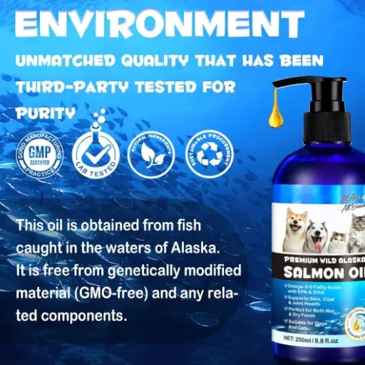Test Huile de saumon sauvage Alaska ZIXAOK : l’omega-3 qui fait le job sans chichis