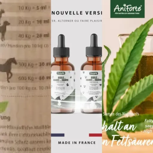Notre sélection des 6 meilleurs huiles CBD arôme naturel (mai 2026)
