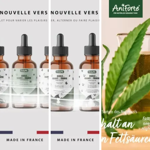 Les meilleurs huiles CBD isolat pour chat : notre top 6 (mai 2026)