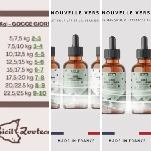 Quel huiles CBD dosage faible chat choisir ? Top 6 (mai 2026)