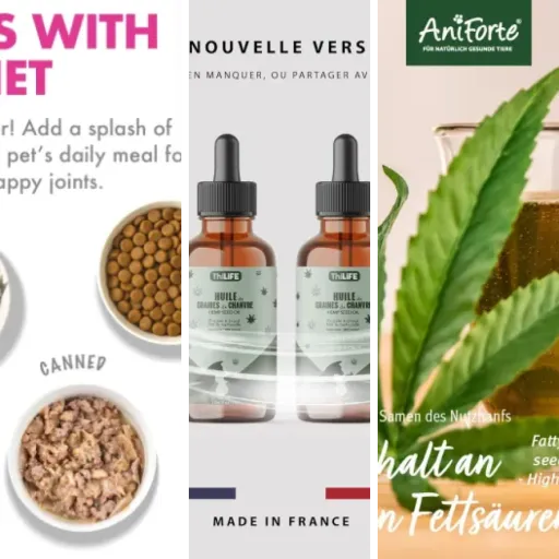 Classement des 6 meilleurs huiles CBD dosage moyen chat (mai 2026)