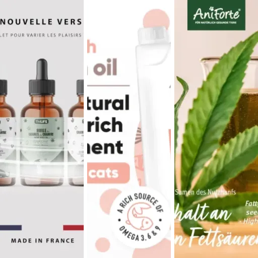 5 meilleurs huiles CBD dosage élevé chat : notre comparatif (mai 2026)