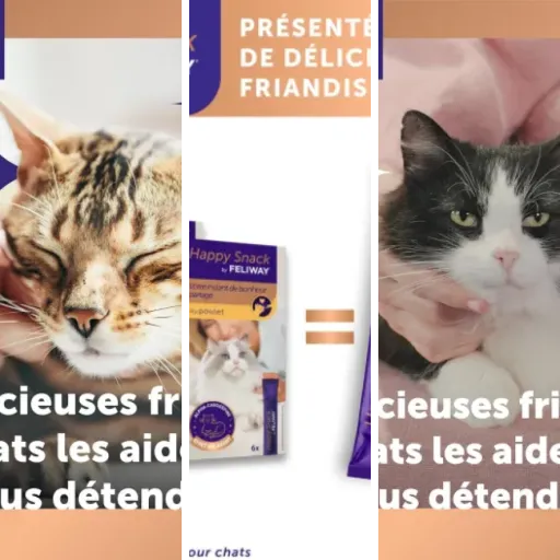 Les 8 meilleurs friandises CBD relaxation (mai 2026)
