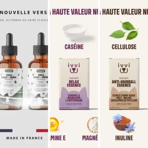 Comparatif des 5 meilleurs friandises CBD appétence renforcée (mai 2026)