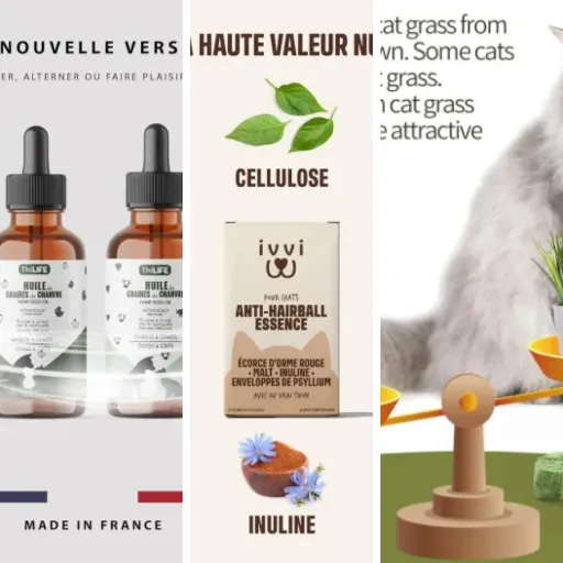 Notre sélection des 5 meilleurs friandises CBD naturelles (mai 2026)